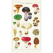 Mushrooms Vintage Tea Towel, Kökshandduk